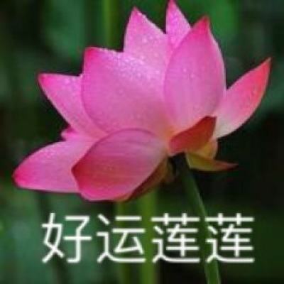 山东兰陵代村党委书记王传喜：带动更多村庄致富